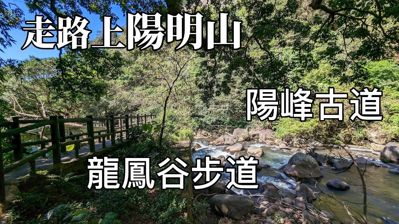 陽明山步道 陽峰古道 龍鳳谷步道 泉源步道  走路上陽明山賞花