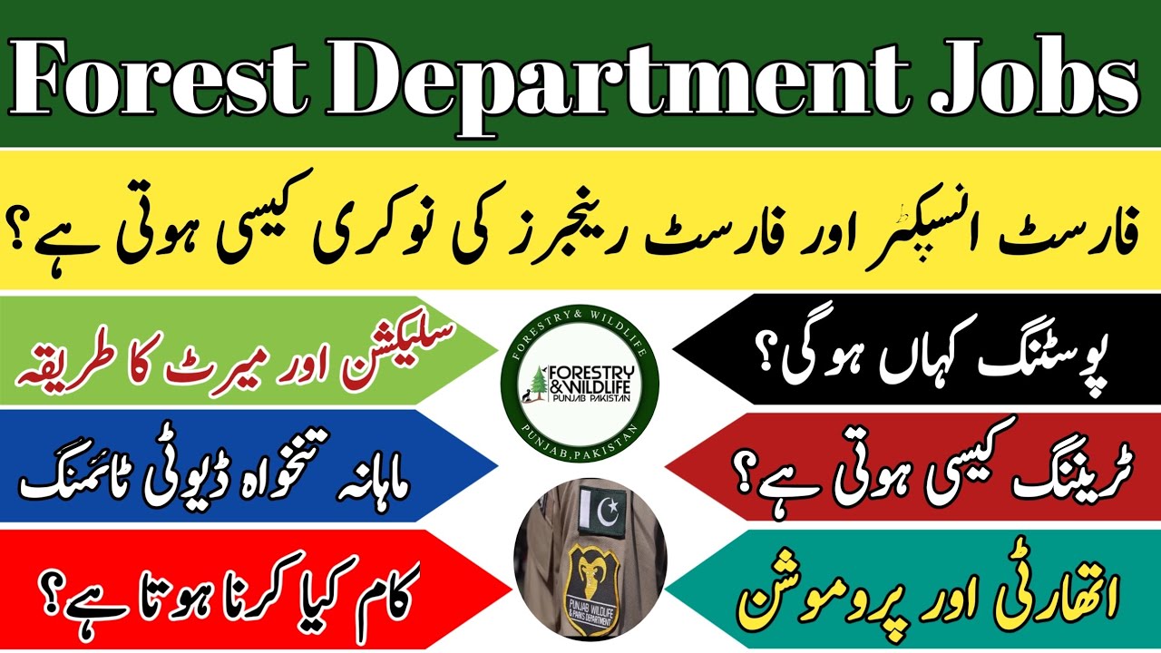 Forest Inspector & Forest Ranger Jobs update| Salary, Duty, Training Promotion Complete Details 2026