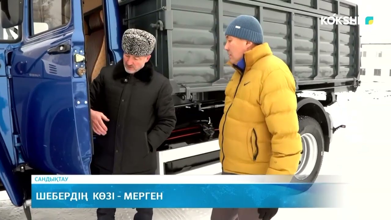 Шебердің  көзі   мерген