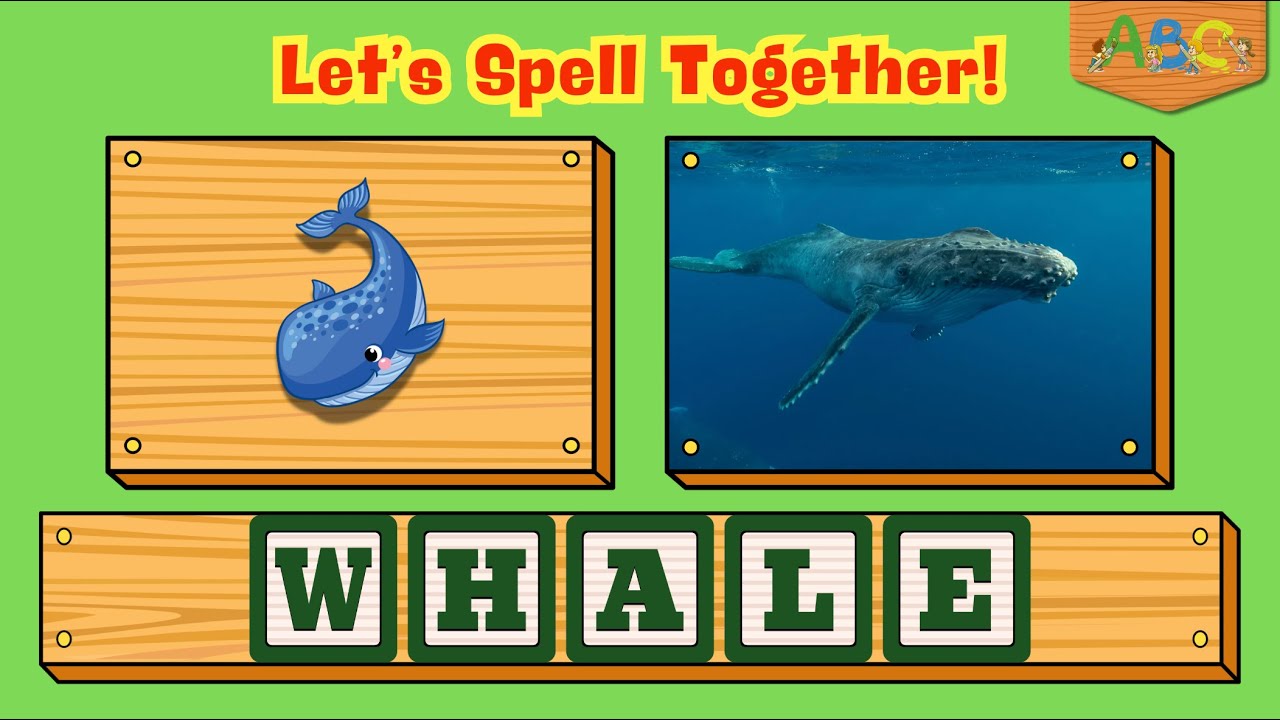 Learn How to Spell 3, 4 and 5 Letter Words | Learning to Spell Easy Spelling Words for Kids