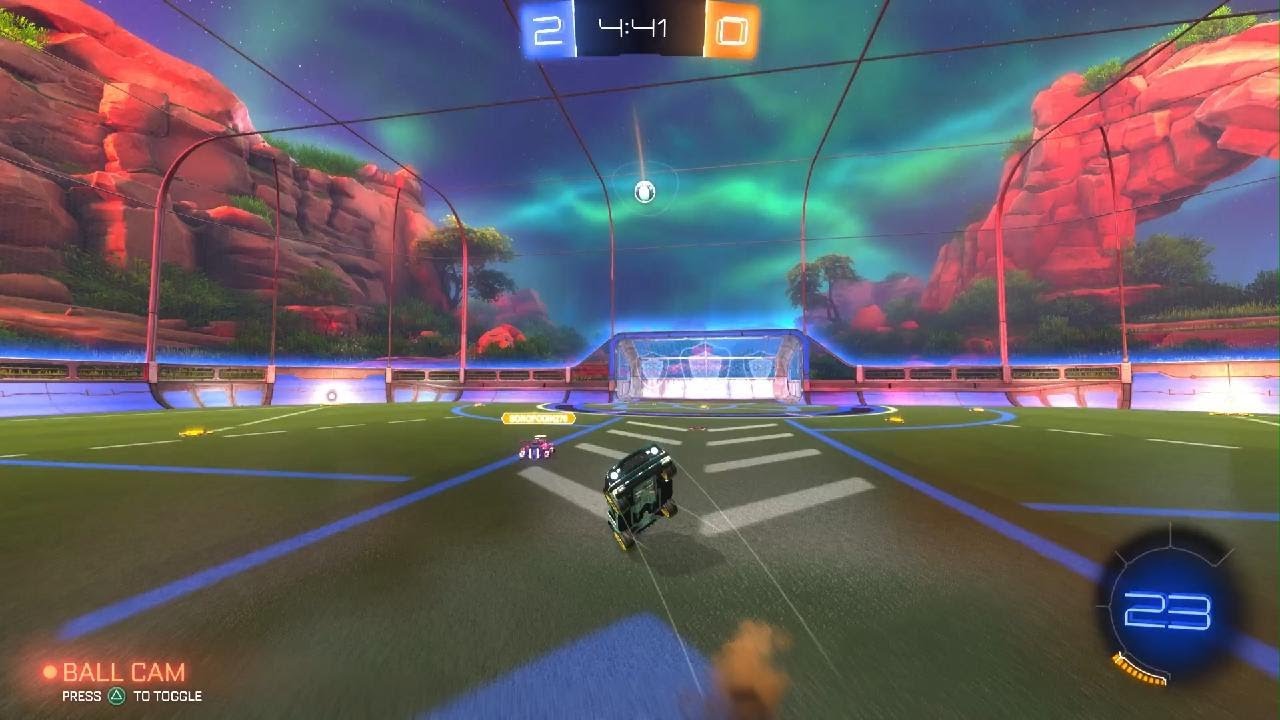 1V1 Dog Walking