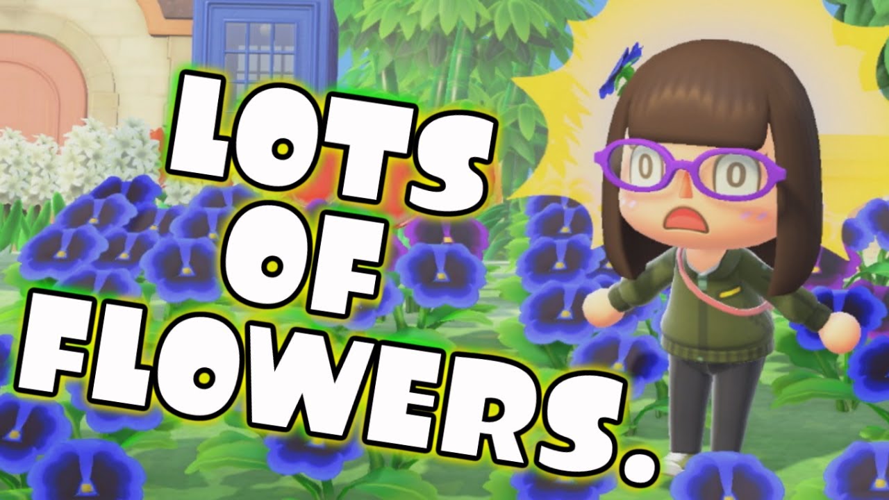 Can a 3 Star Island Look Good? (Island Tour) | Animal Crossing: New Horizons