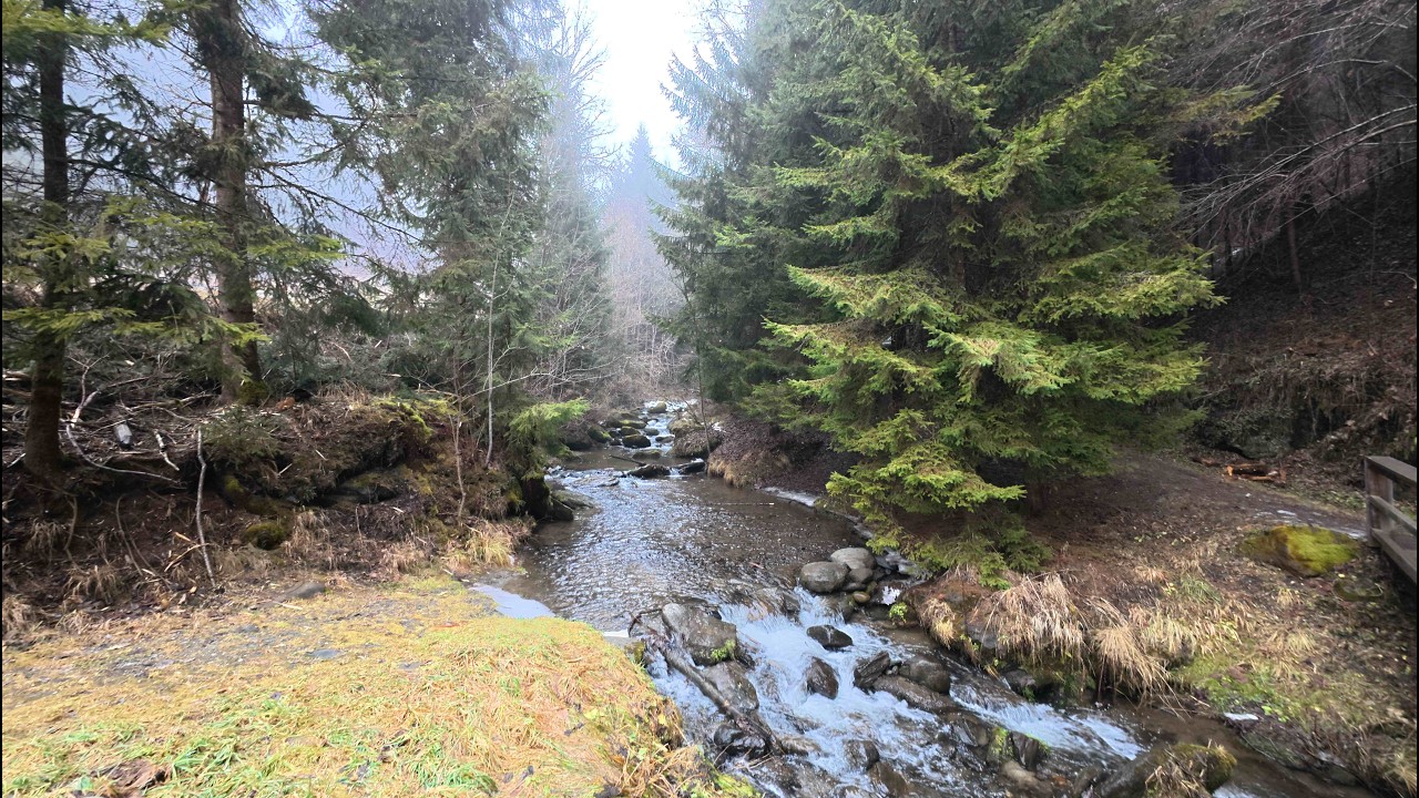Liebenfelser Wasserweg (DJI Action 5 pro) 4k Pov Walk in Austria