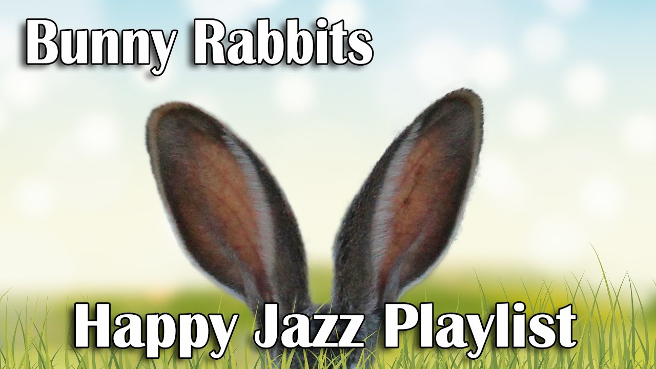 Bunny Rabbits and Upbeat Happy Jazz Music Playlist - Relaxing Happy Vibes to Put You in a Good Mood