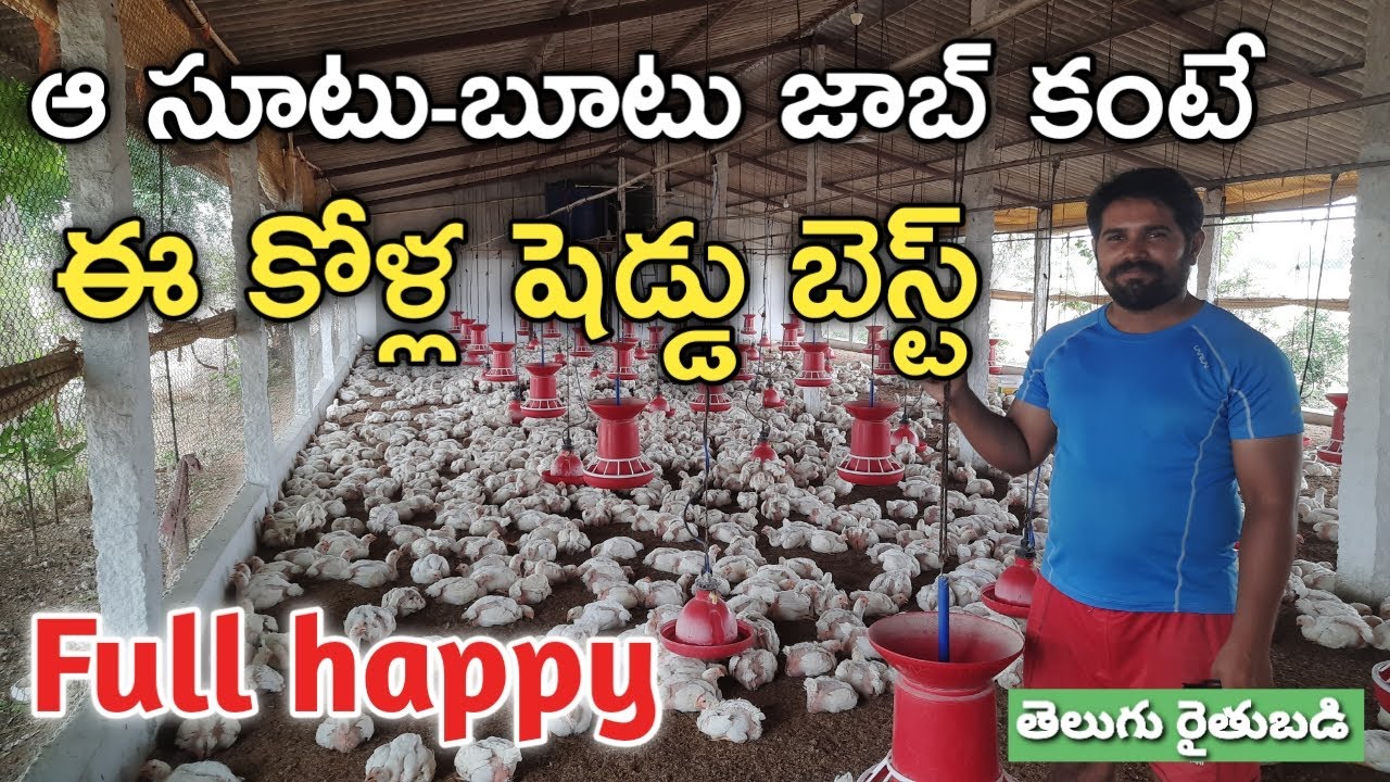 అరబ్ దేశంలో జాబ్ వదిలేసి.. ఊర్లో పౌల్ట్రీ ఫాం పెట్టి.. సంతోషంగా బతుకుతున్న | Telugu Rythubadi