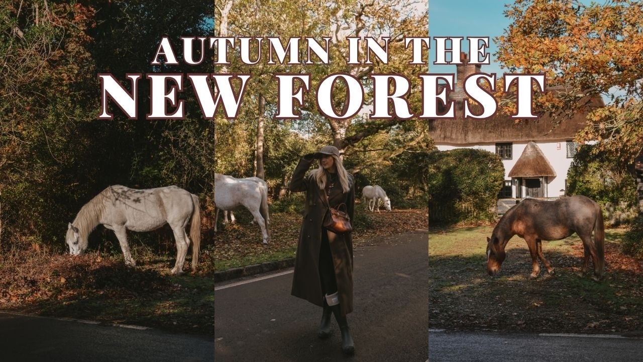 Осенний отдых в Нью-Форесте 🍂 | Уютные фермерские лавки, живописные прогулки и скрытые жемчужины ...