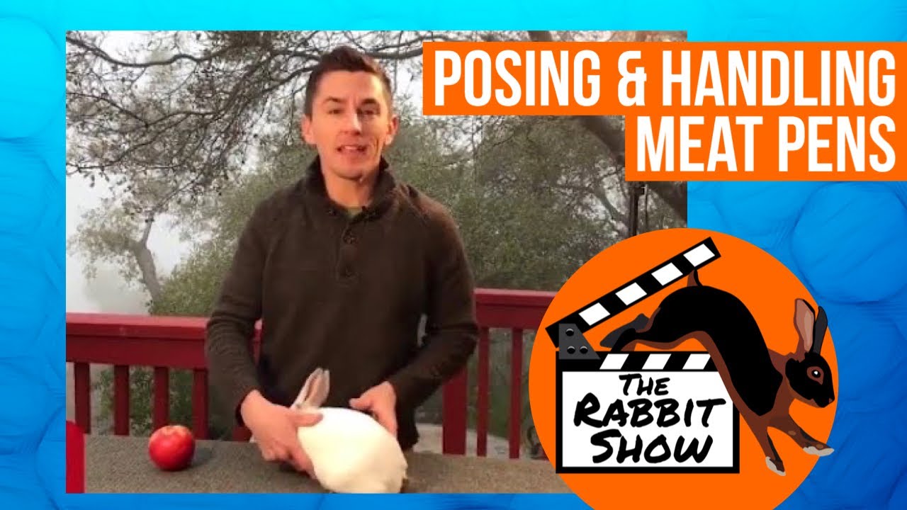 Posing and Proper Handling for Meat Pens