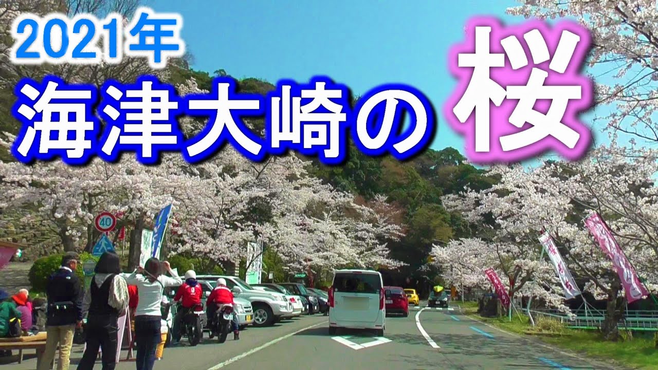 【日本のさくら名所100選】海津大崎の桜2021 ぶらり旅
