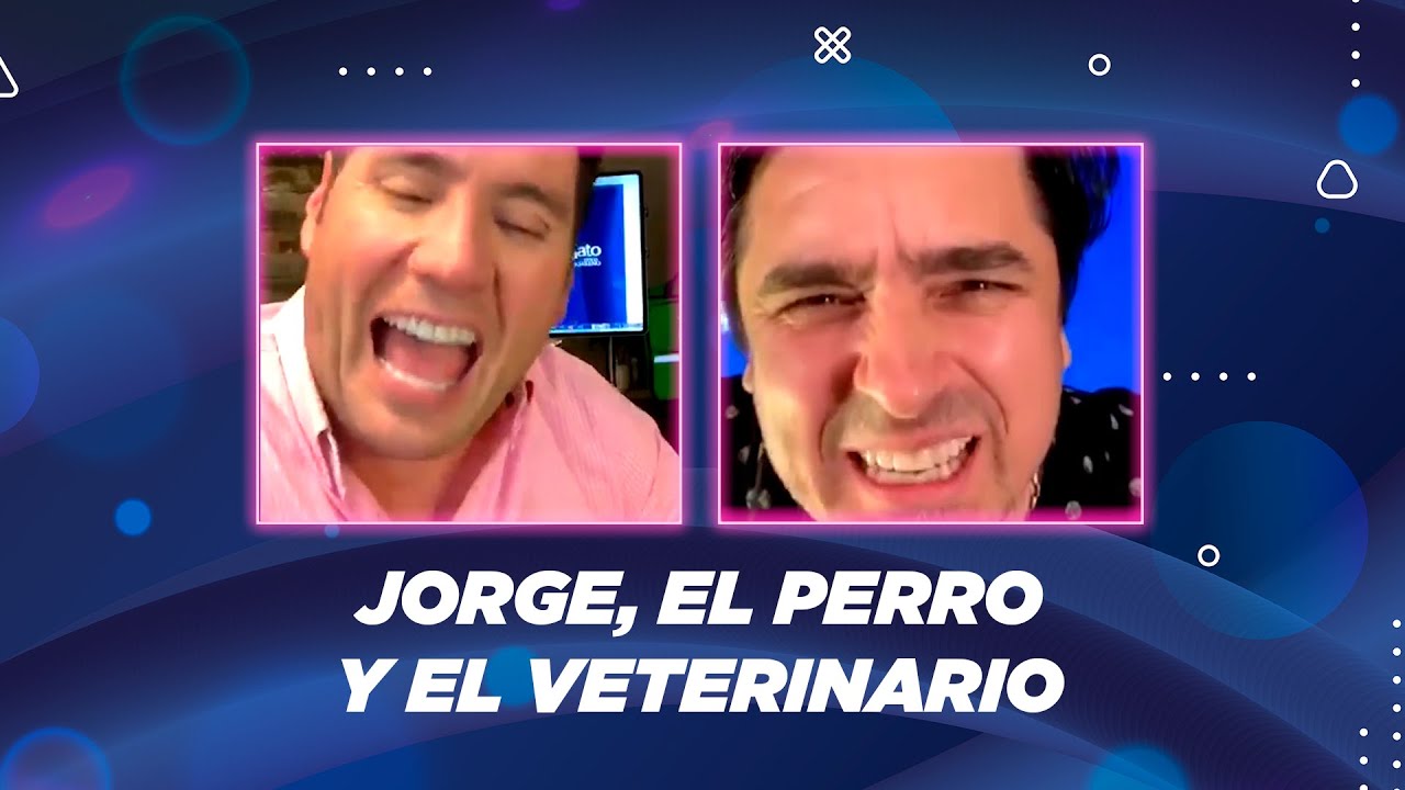 Cuento corto: Jorge Zabaleta, el perro y el veterinario