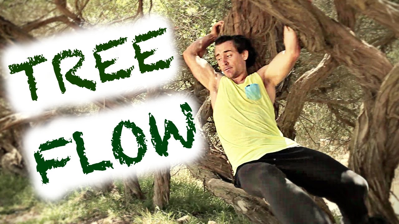 TreeFlow [Andrey Pfening]