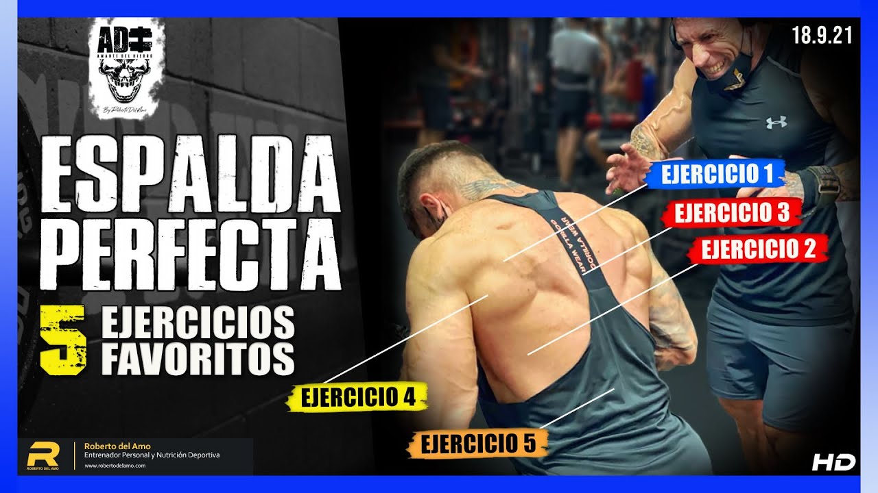 ESPALDA  PERFECTA  CON ESTOS 5 EJERCICIOS