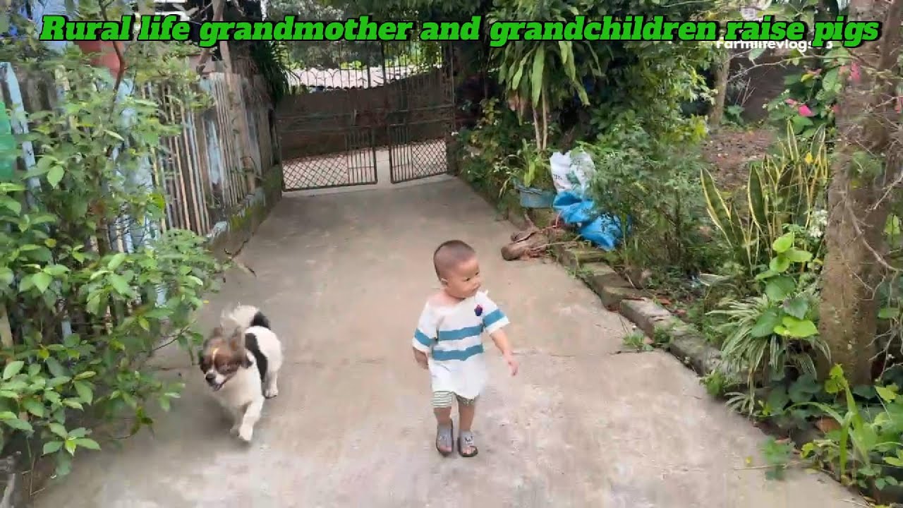 Childhood Memories in the Countryside  Baby with Grandma and the Pigs