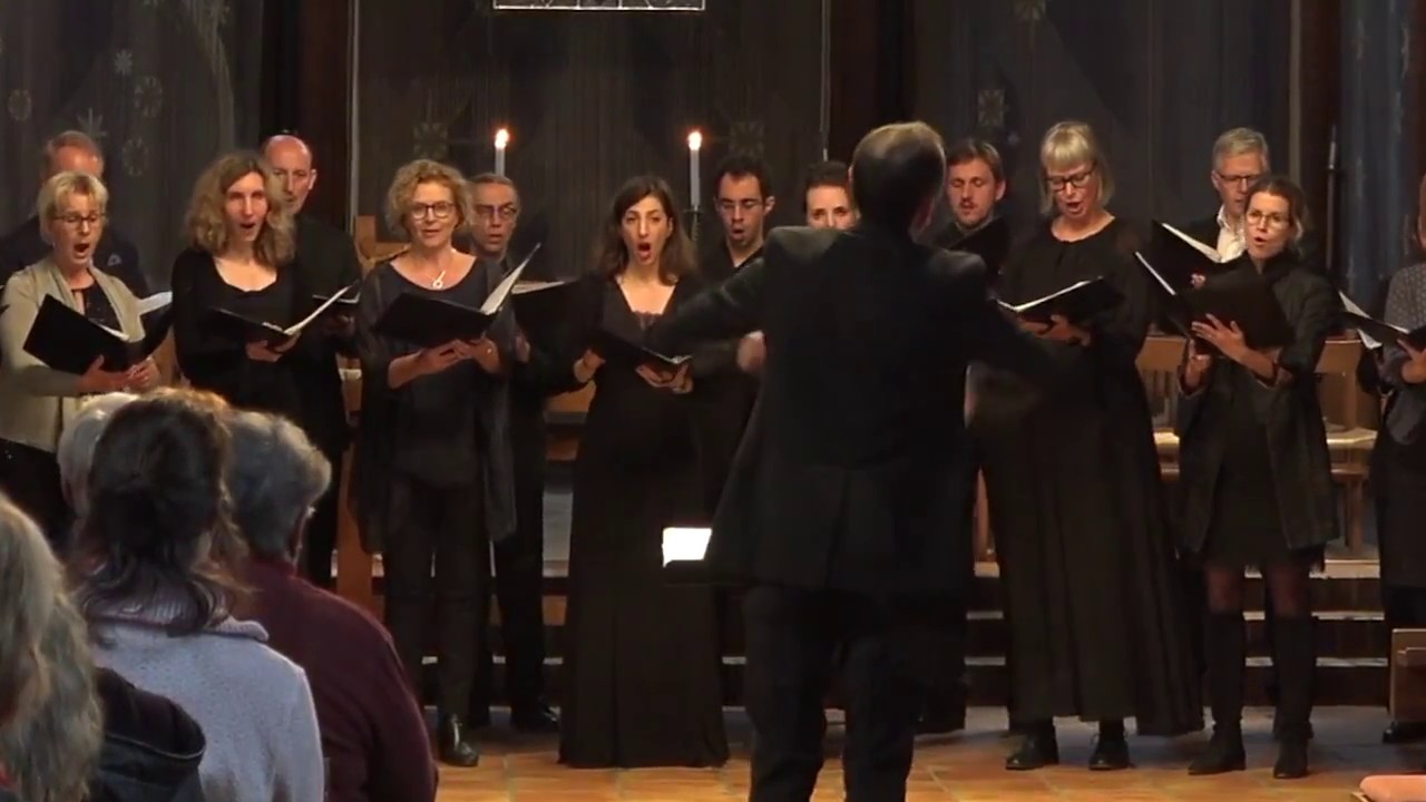 Au Joly Bois - Claudin de Sermisy - Chœur de chambre Arthémys & Helsingborgs Kammarkör