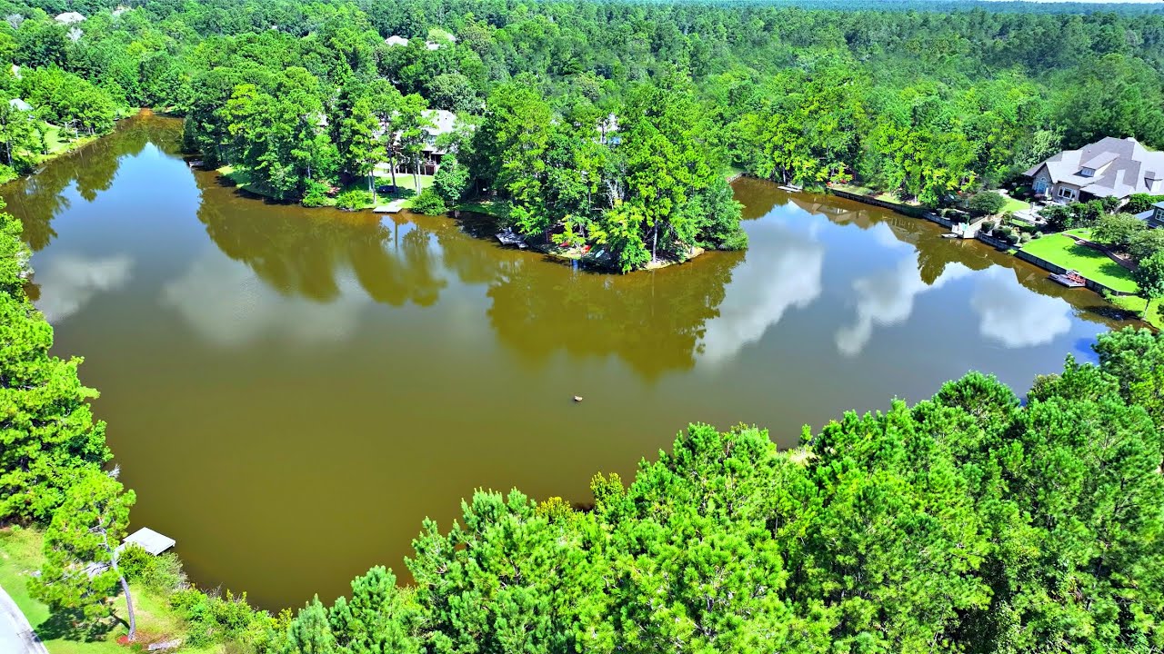 Full Tour of My New Backyard Pond!