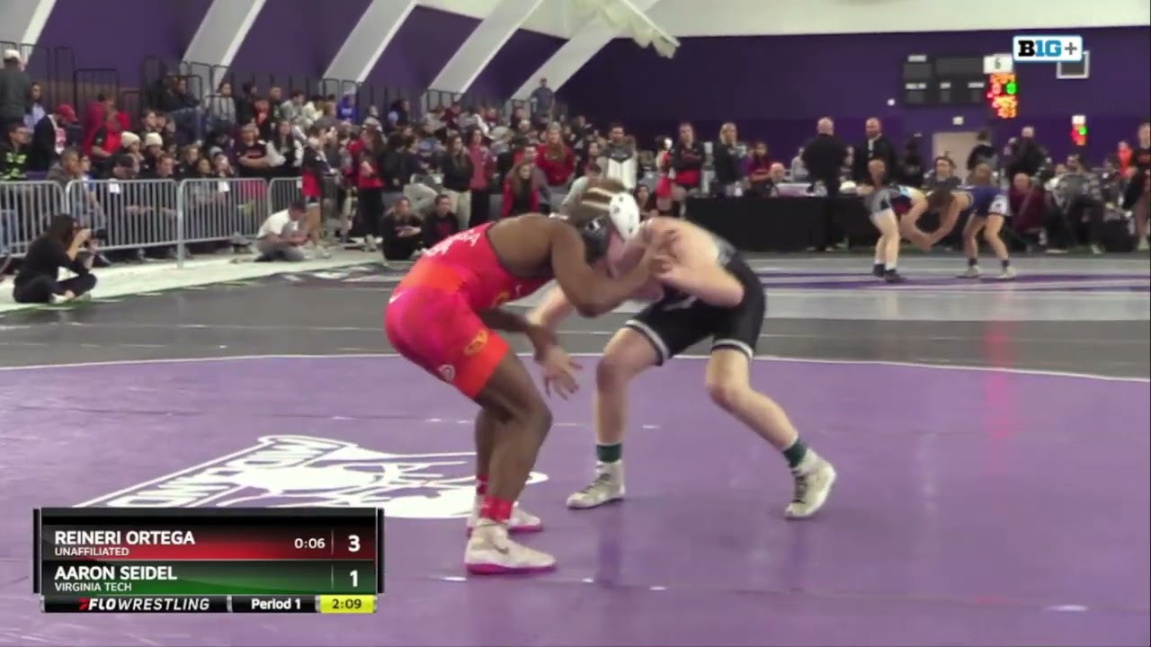 Midlands Championships: Session 4 Men's Championship - Mat 8 | NCAA Wrestling
