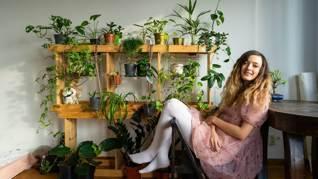 70 de plante într-un apartament din Cartierul Evreiesc | Plantele din interior | Lovedeco