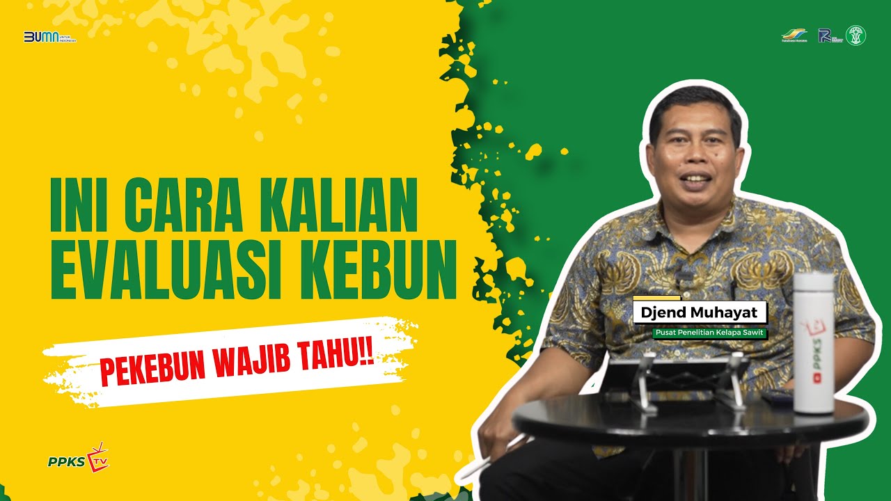 Ini Cara Paling Pas untuk Evaluasi Produktivitas Kebun Sawit | Pekebun Wajib Tahu!!