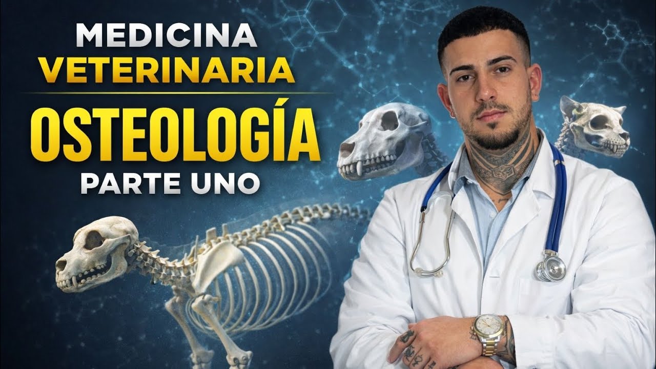 “Anatomía Veterinaria: Generalidades y Primeros Pasos en Osteología” Parte 1