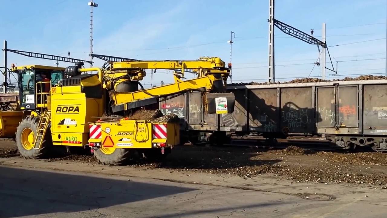 20161025 - Zuckerrüben 2016 - Bahnhof Lenzburg