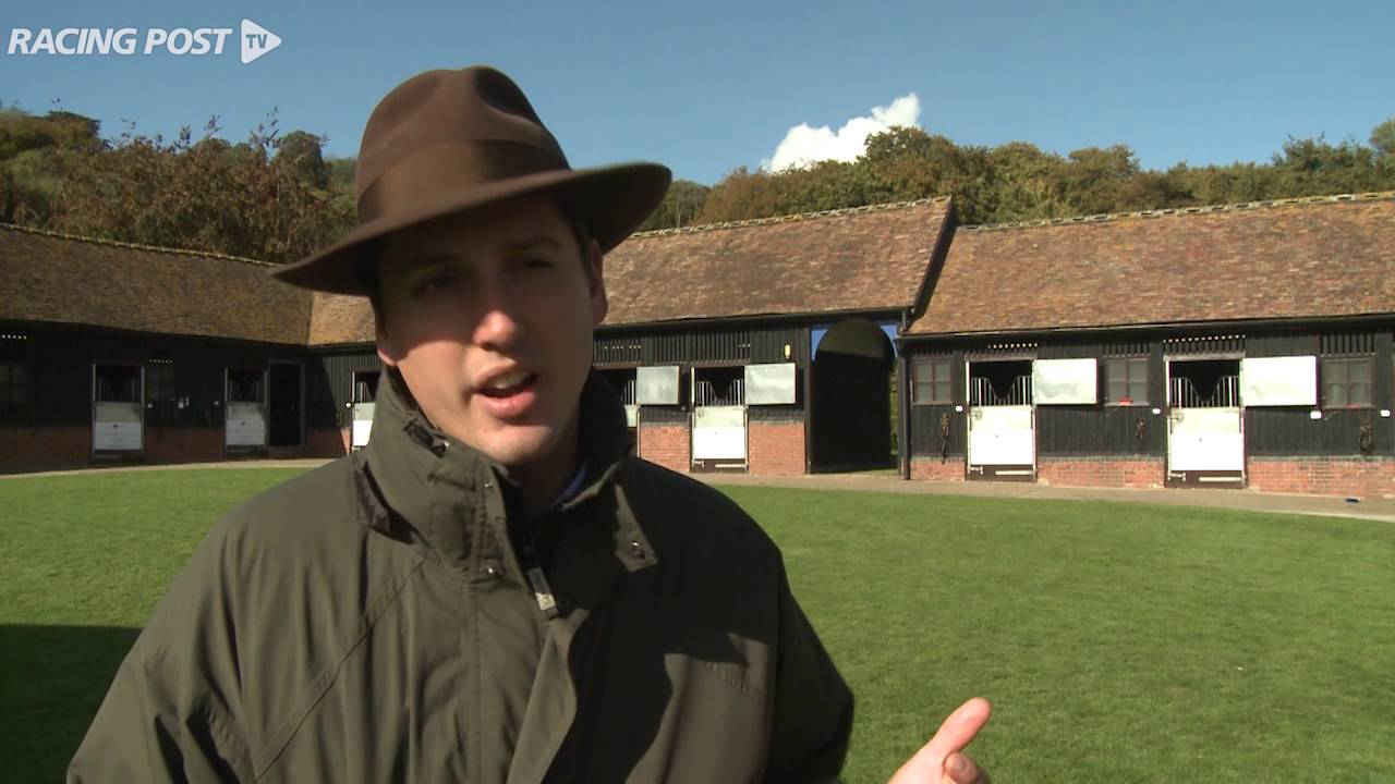 What to look for in a yearling