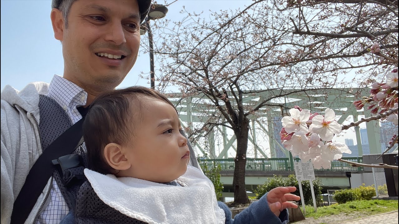Cherry Blossoms are Blossoming | Tokyo 2022