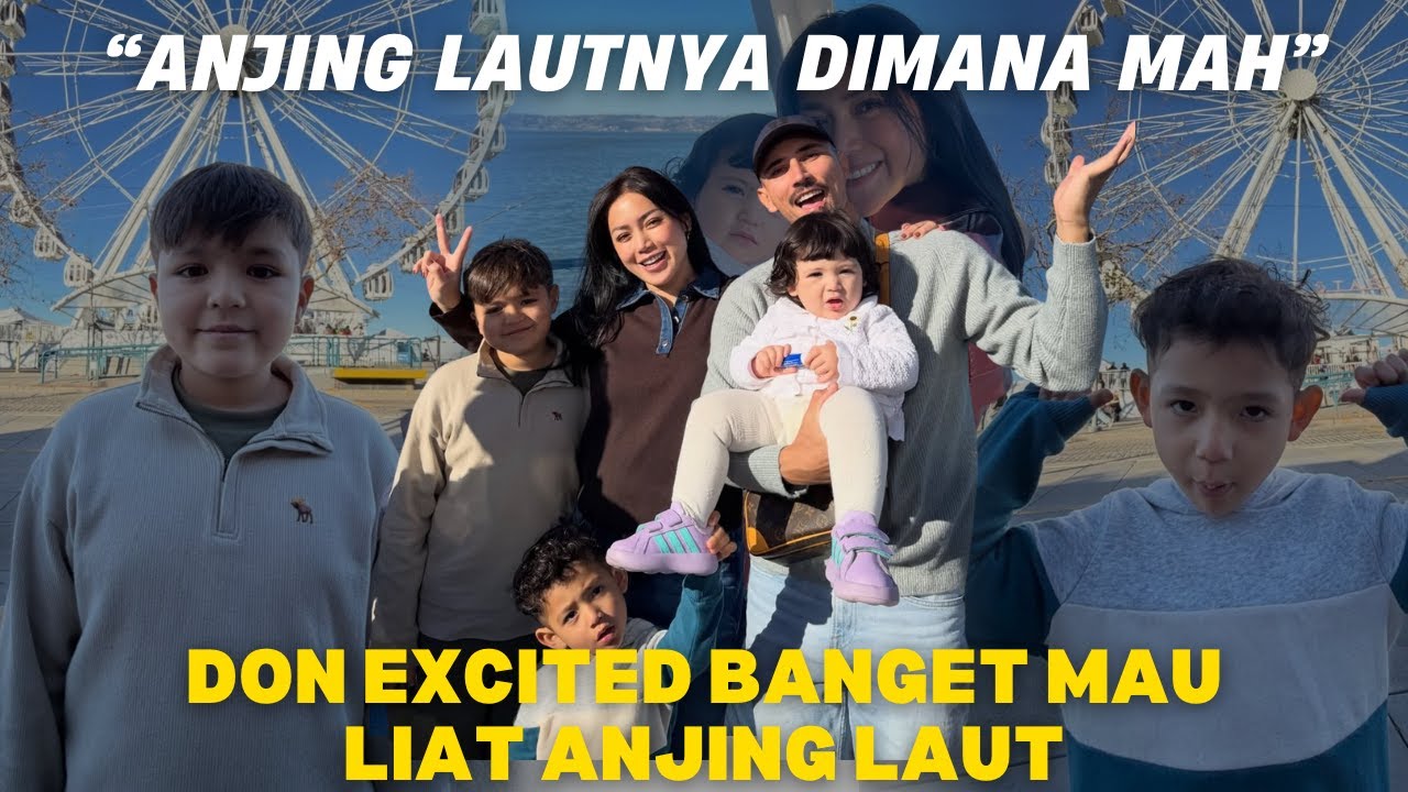 DON EXCITED BANGET NYARI ANJING LAUT