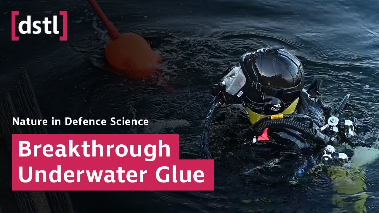 Underwater glue could solve sticky problems for military divers