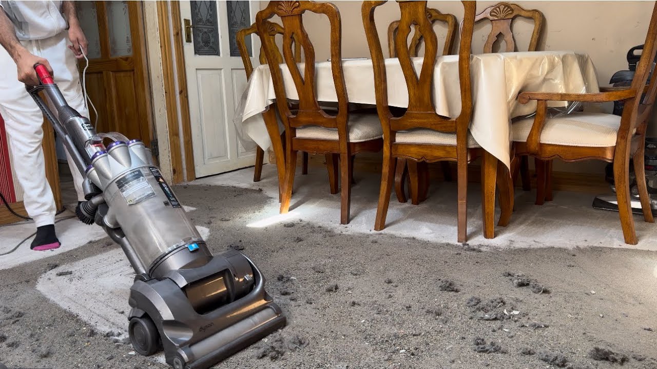 [2006] Dyson DC17 Animal vacuum cleaner - Performance Testing