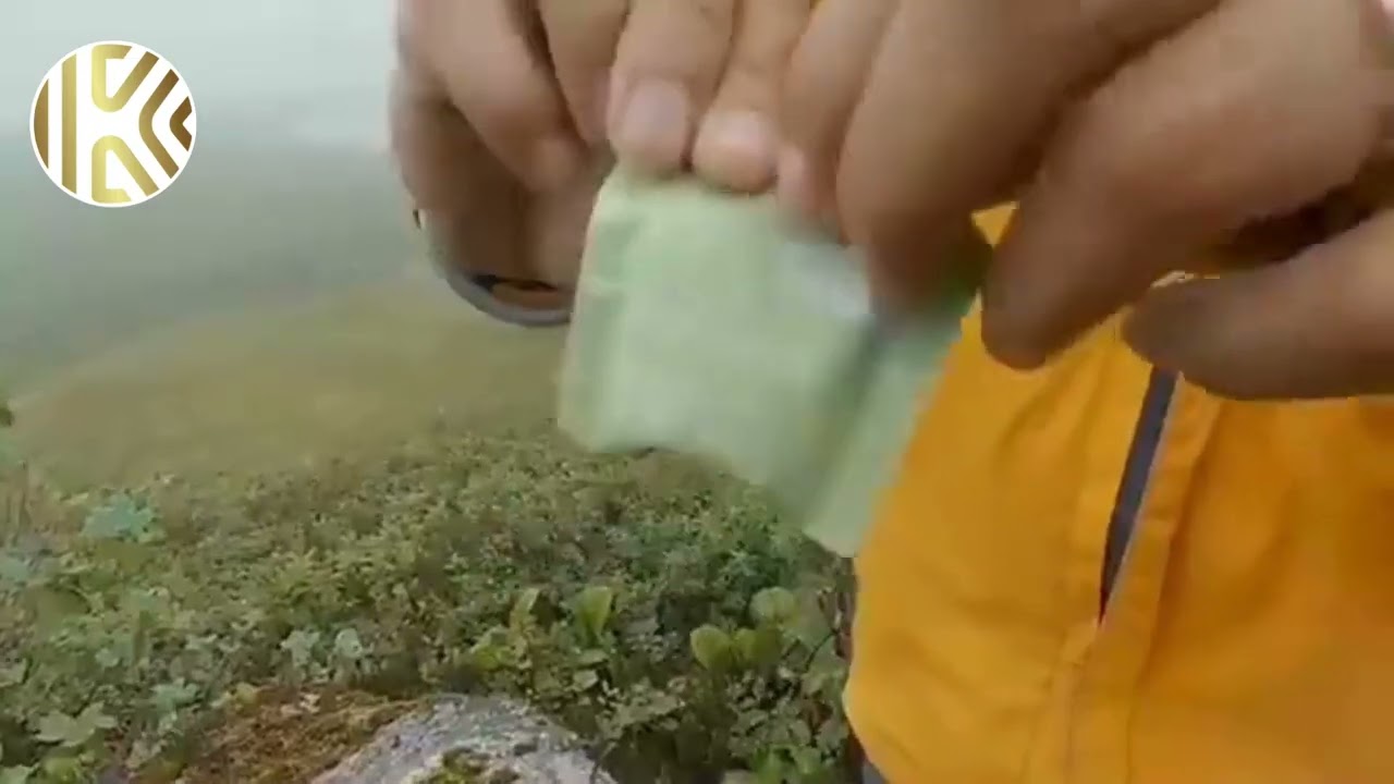 True Taste, Zero Waste!