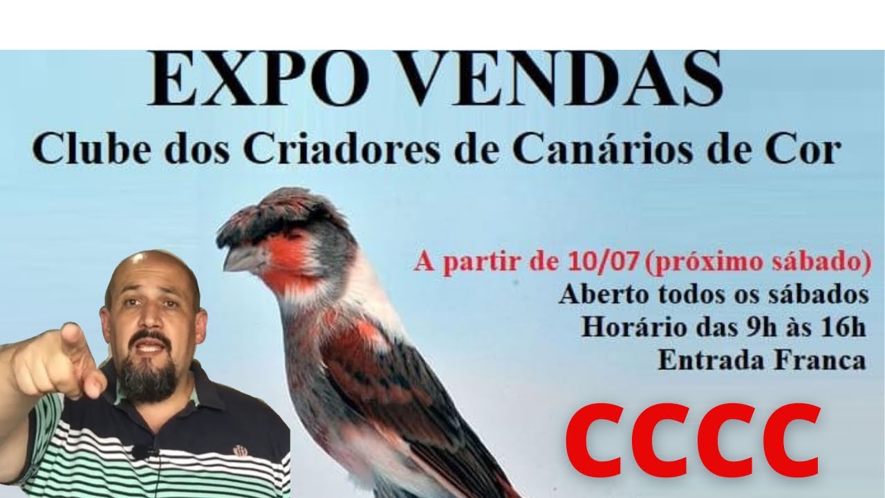 Canario branco, quem quer? EXPO VENDAS CCCC