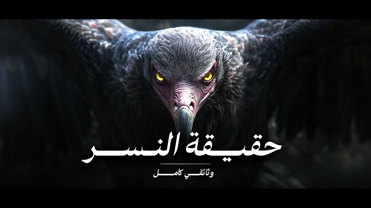أسرار عالم النسر كاملة ! وحش السماء الجارح !   |  وثائقي