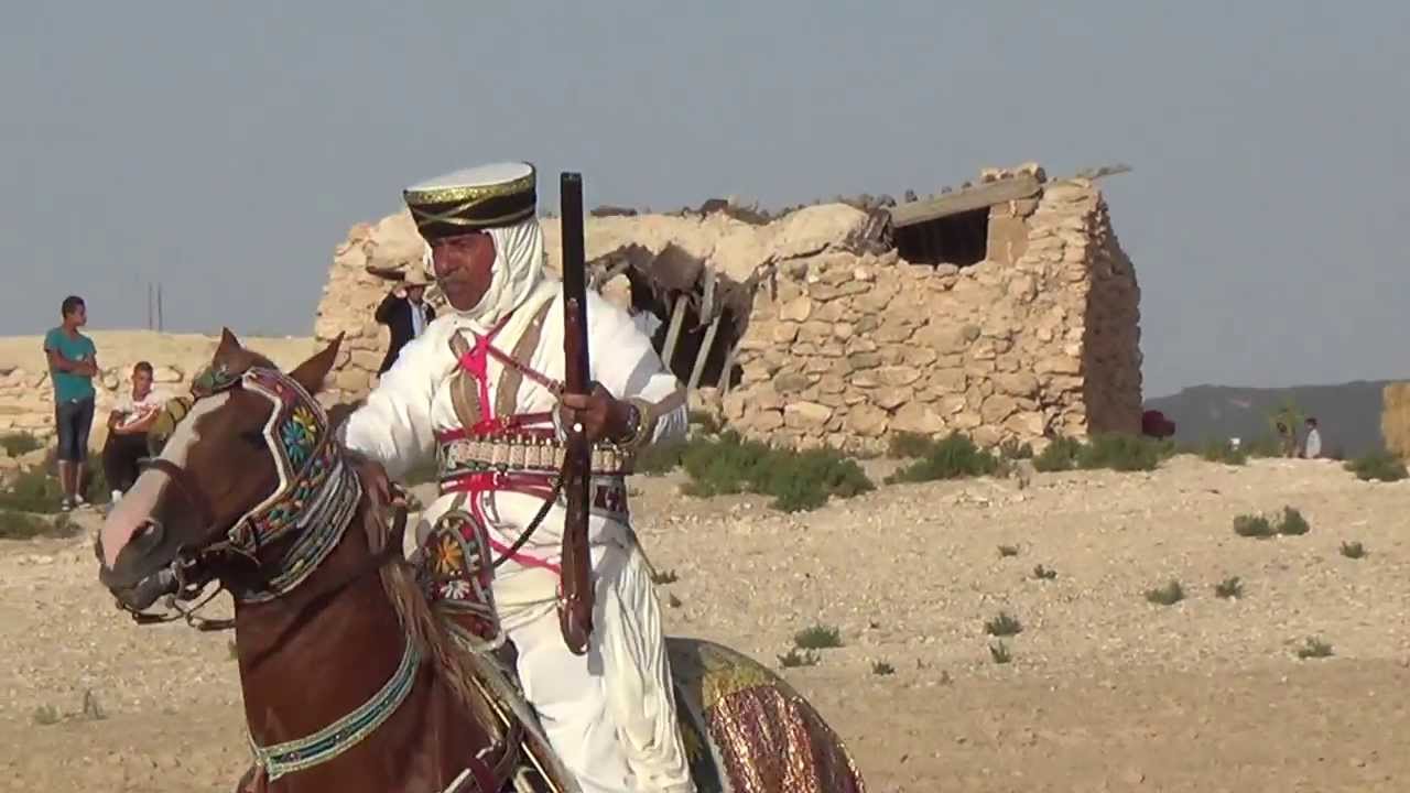 عرض للفروسية قلعة سنان الكاف 2  (الفروسية : رجال  