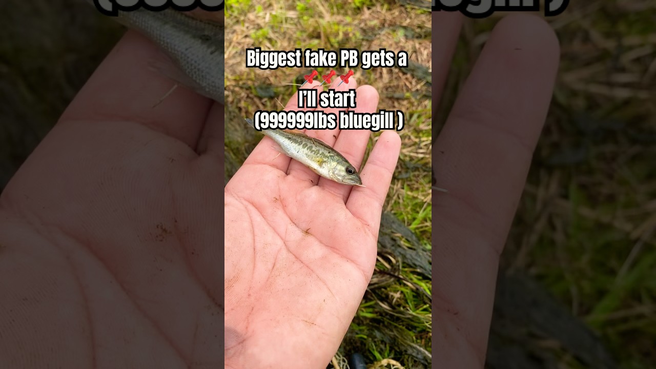 Biggest fake PB gets a 📌￼#Fishing #BigFish #Funny ￼