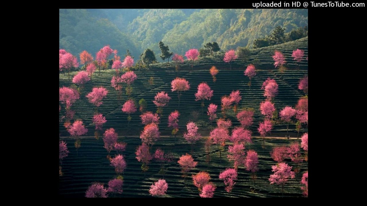 [free] iayze x izaya tiji + ambient type beat - 