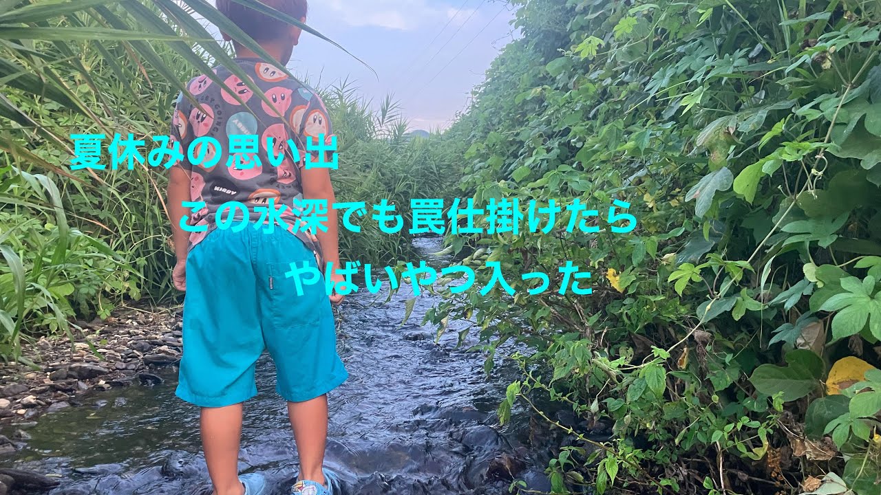 川幅1メーターのとこにうなぎ筒仕掛けてみた