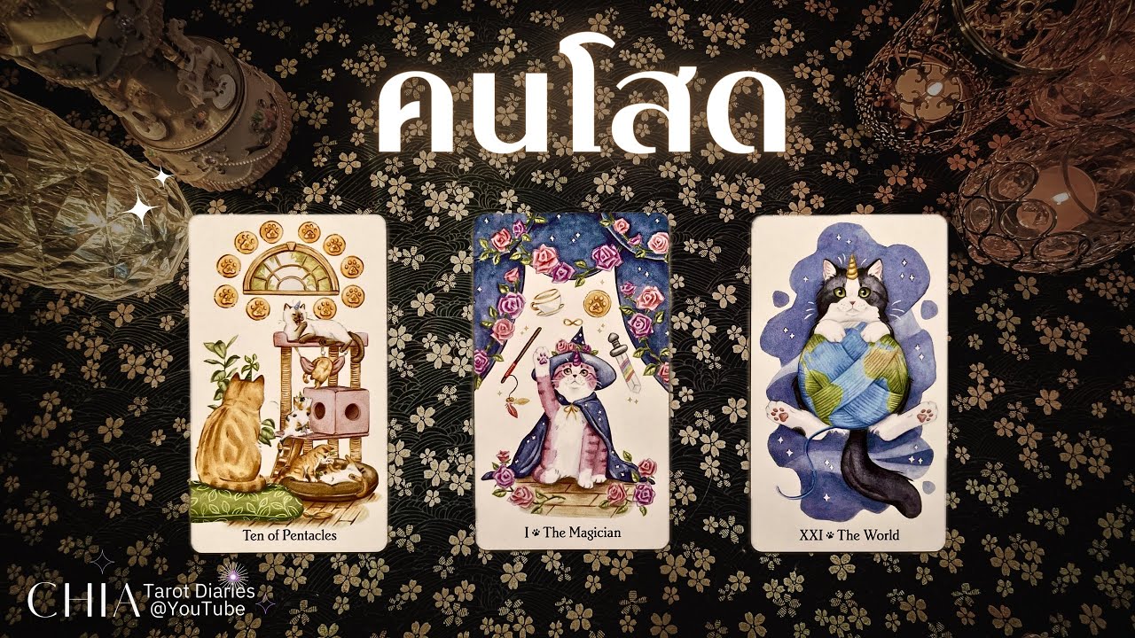 Pick a card คนโสด 🥂✨