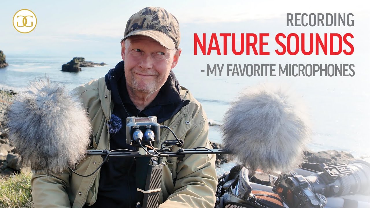 Little-Known Microphones That Solved My Wildlife and Bird Audio Problems
