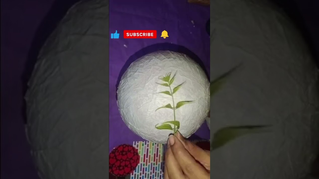 Night lamp...with balloon #diy #shorts #beginners #bestoutofwaste #Trishacreationdiy #balloon #lamp