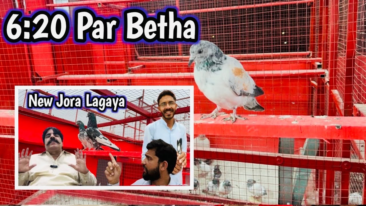 6:20 Par Ghar ka Bacha Betha ❤️Jora Pass 