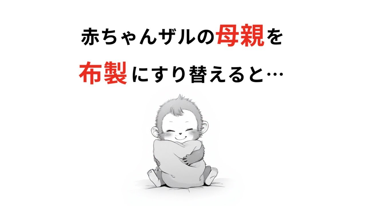 【雑学】大量の赤ちゃんザルを鬱に追い込んだ禁断の研究、愛着実験