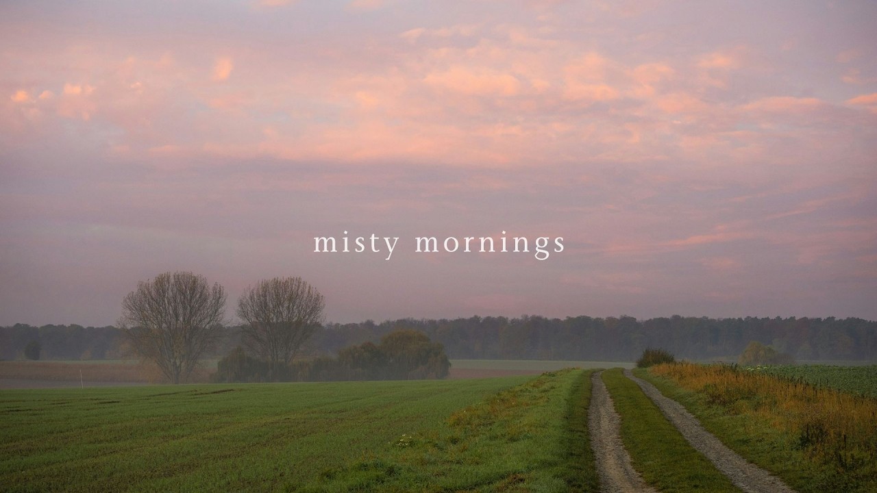 a playlist for quiet misty mornings