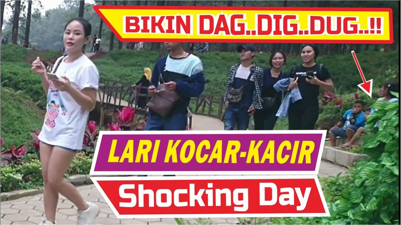 HUTAN PINUS LIMPAKUWUS Bushman Prank Best Reactions  || PRANK MANUSIA POHON ||