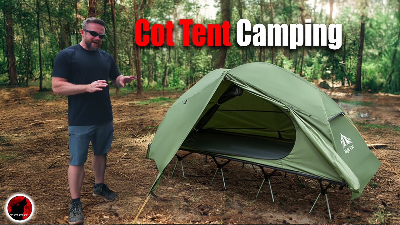 Everything That You Need To Know About The Night Cat Cot Tent