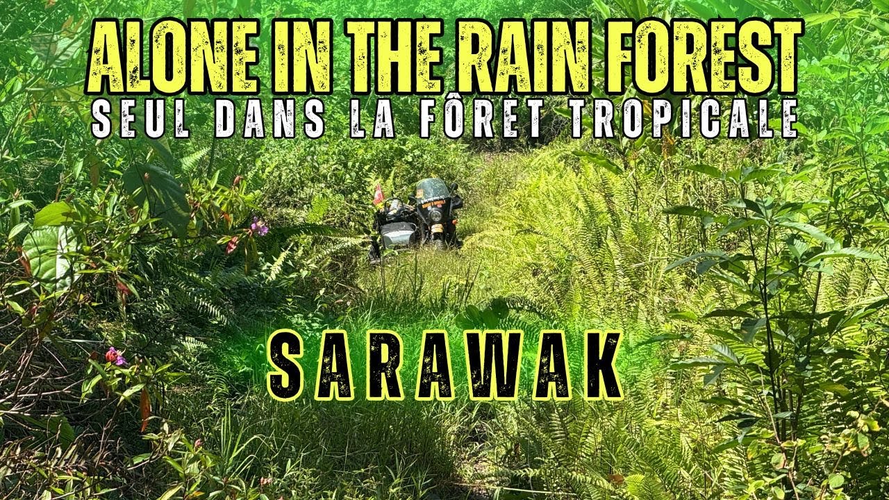🇲🇾🛠️ Panne électrique et jungle - Bornéo Part 9 - Malaisie - Tour du monde en side-car