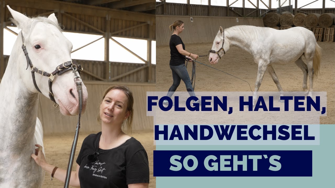 Das korrekte Folgen - so gehts