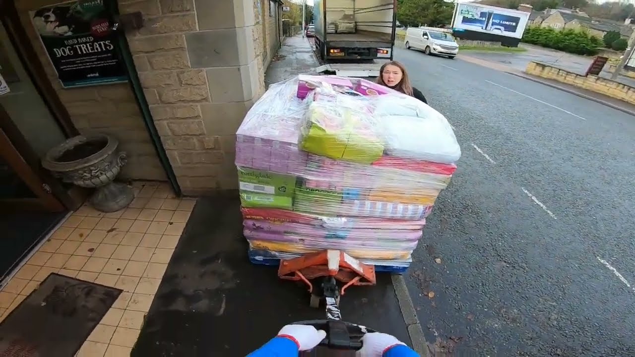 GIRLS HELPED ME | PET FOOD SHOP | DELIVERY SERVICE | HGV CLASS 2 DRIVER IN UK [POV]
