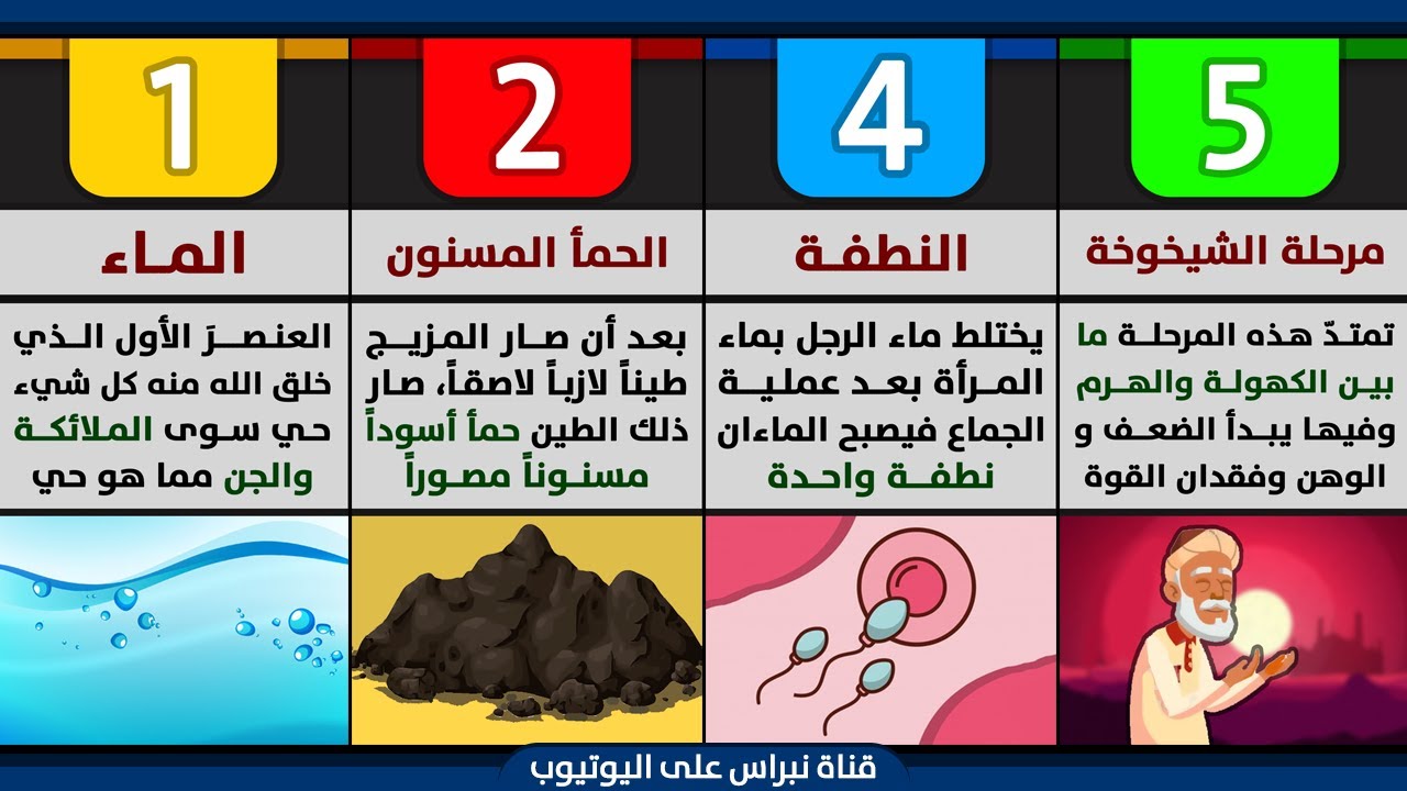 تعرف على جميع مراحل حياة الإنسان من الطين حتى النطفة إلى الشيخوخة | مراحل خلق الإنسان في القرآن 👶👴📗