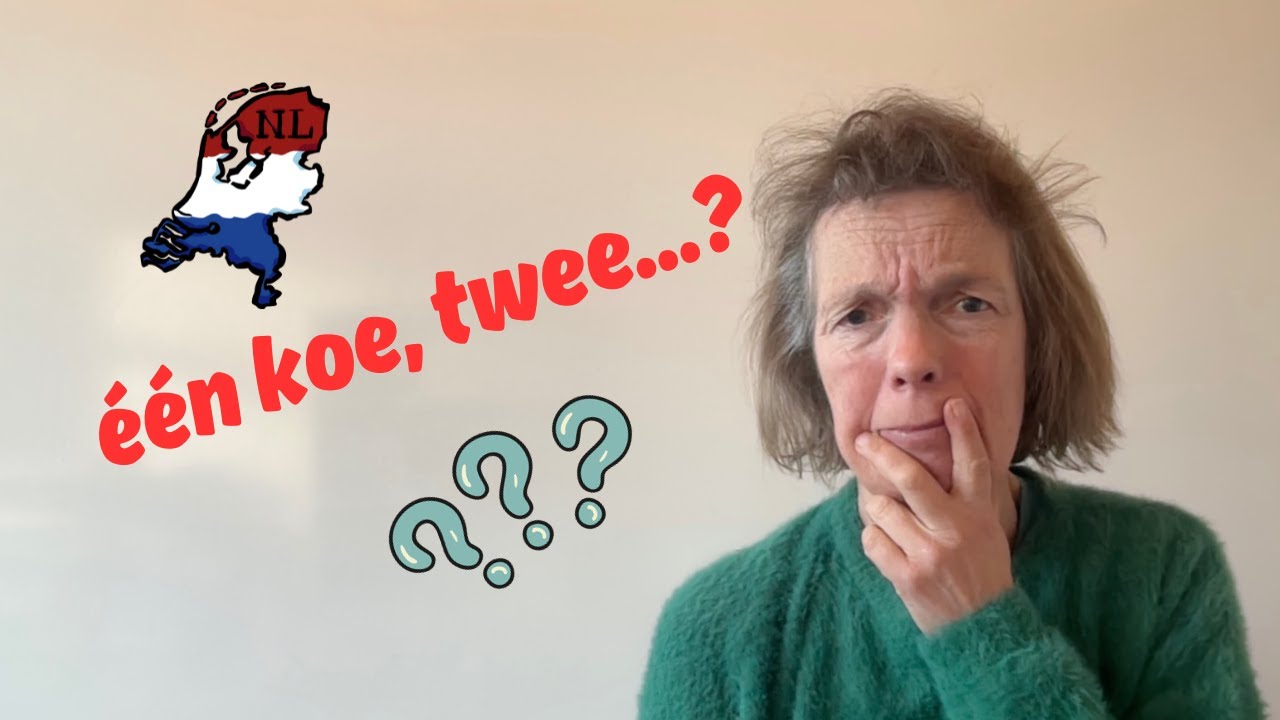 Onregelmatig meervoud van substantieven.