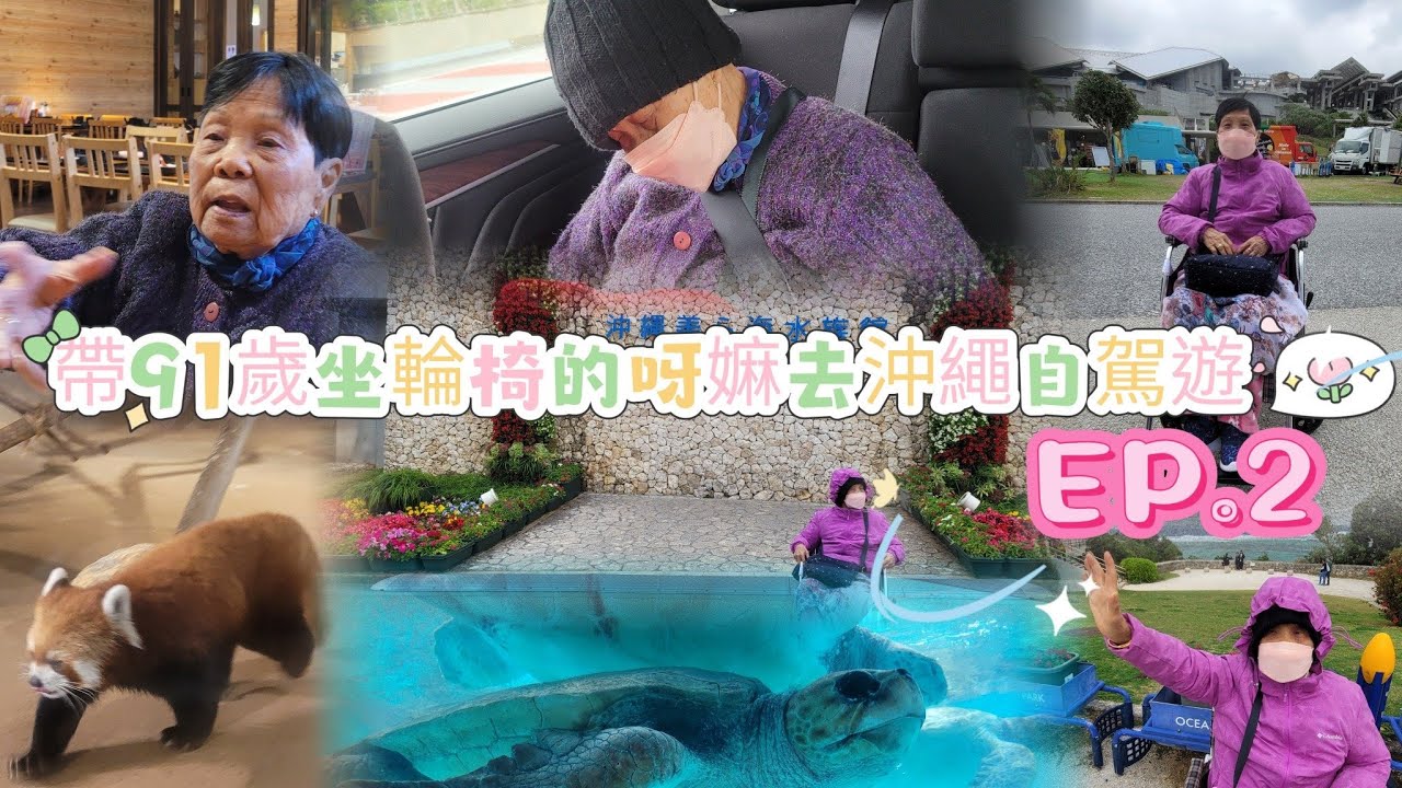 帶91歲坐輪椅的呀麻去沖繩自駕遊EP 2|有Jacuzzi的輪椅房太幸福了吧!|天婦羅海老在那裡吃?|沖繩美麗海洋水族館|沖繩好吃推薦的苦瓜料理店