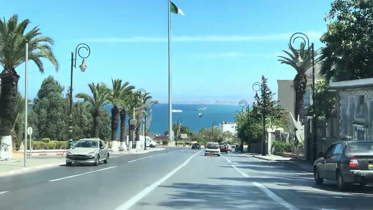 ريحة البلاد 🇩🇿